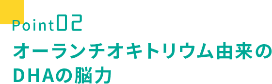 point02 オーランチオキトリウム由来のDHAの脳力